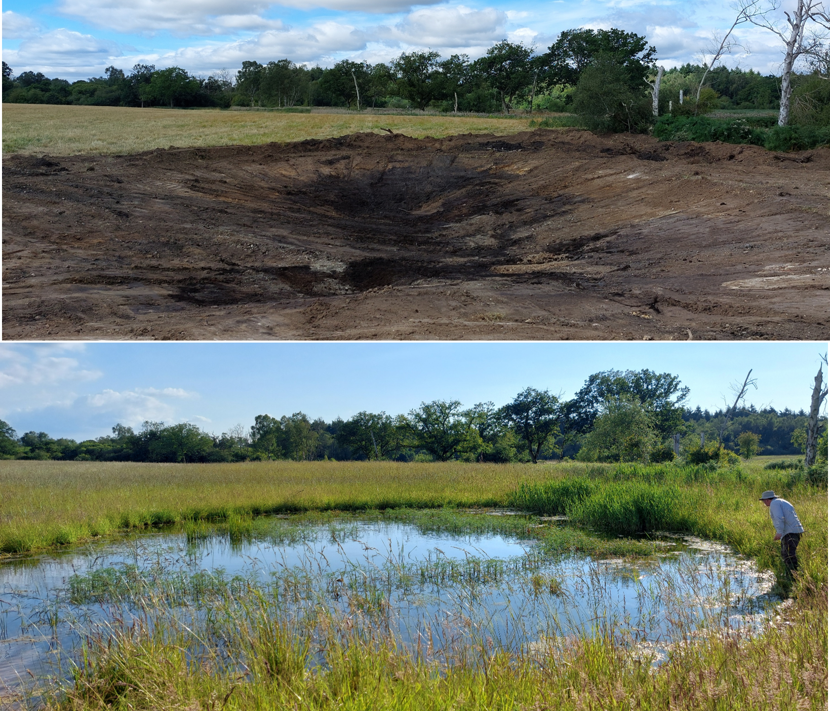 A ghost pingo pond a few days after (top) and 2 years following restoration (bottom).
