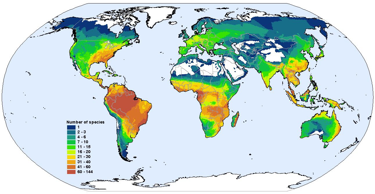 A global map of species richness.