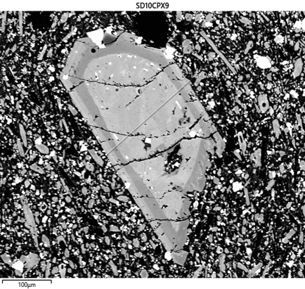 BSE image (SEM) of a green-core clinopyroxene from Fogo (greyscale).