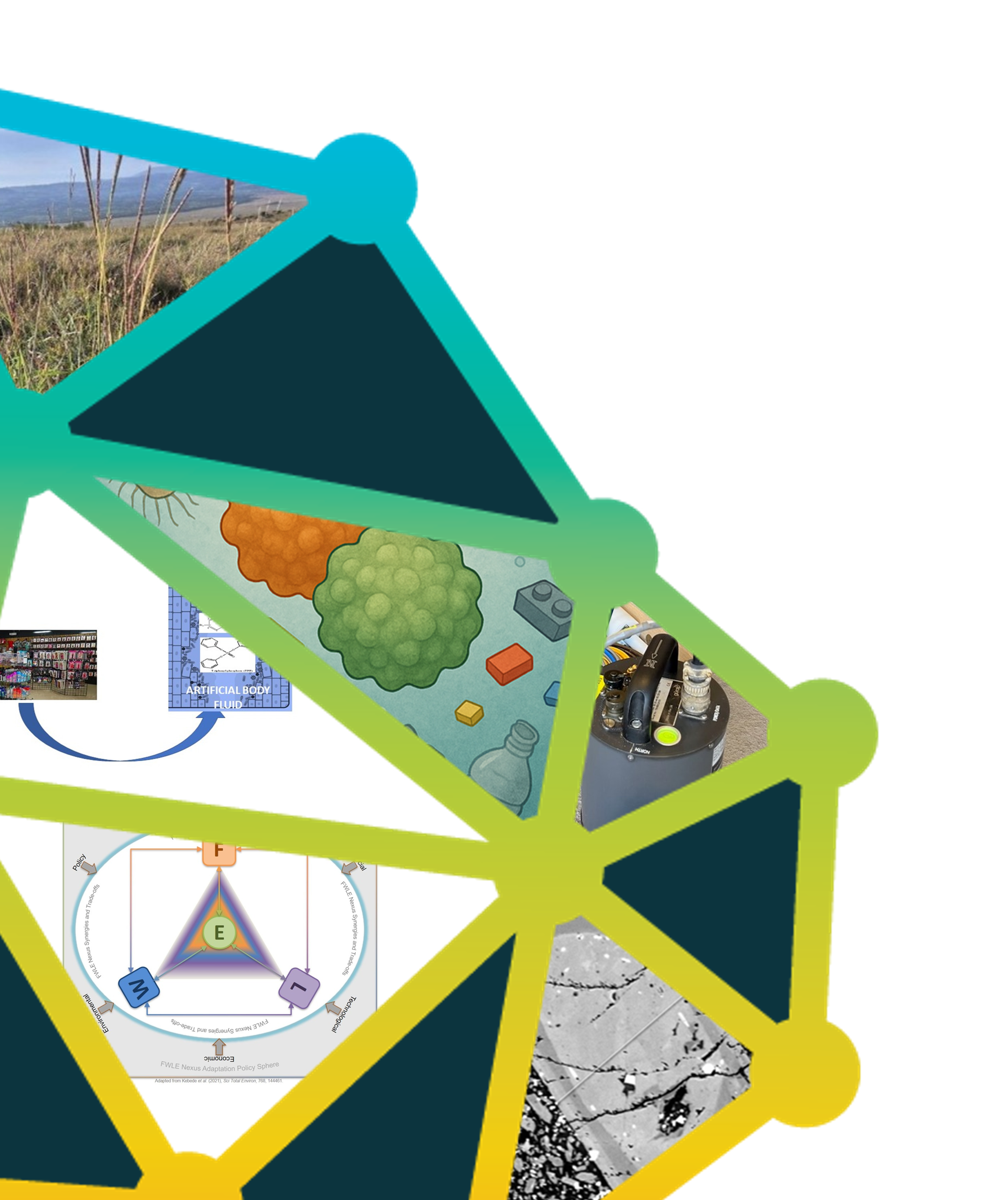 partial logo for the TREES DLA. A tree is divided into triangular segments. Some of these segments feature images regarding potential SEEDS internship projects.