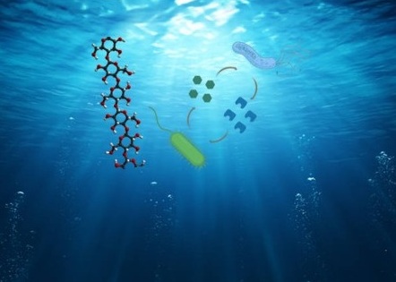 Image showing microbes in the ocean interacting through sharing of nutrients after degrading macromolecules.