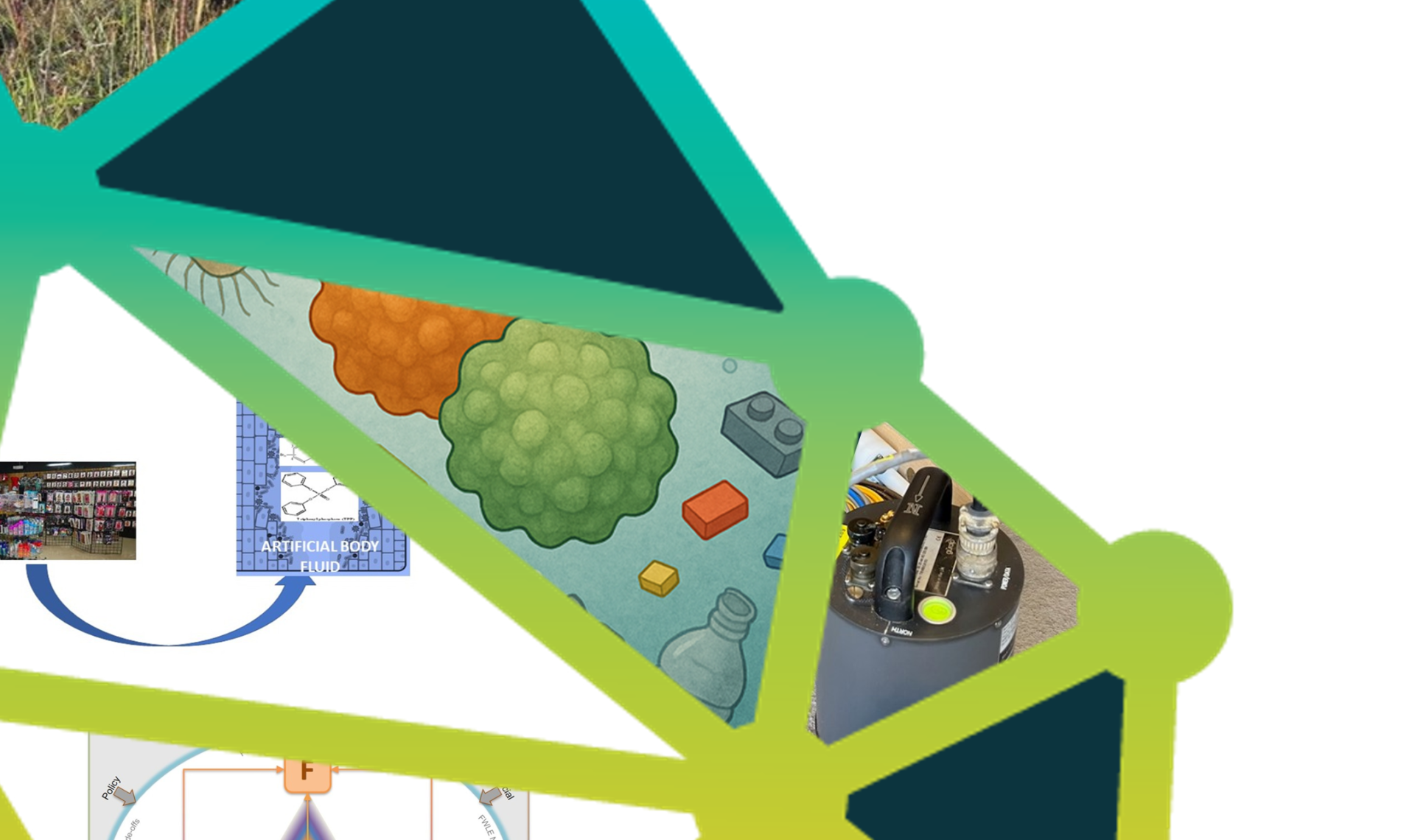 partial logo for the TREES DLA. A tree is divided into triangular segments. Some of these segments feature images regarding potential SEEDS internship projects.