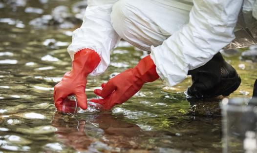 Environmental Hazards & Pollution