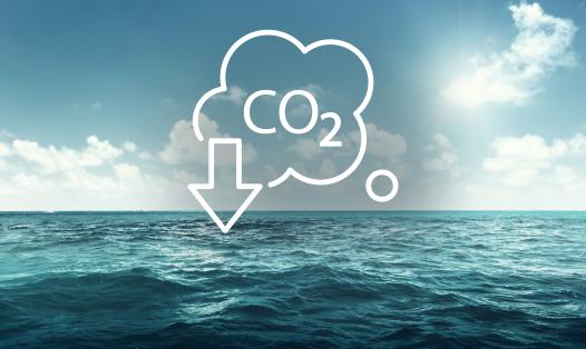 Earth, Atmosphere & Ocean Processes