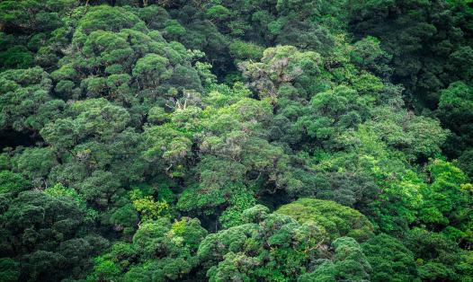 Photo by César Badilla Miranda on Unsplash