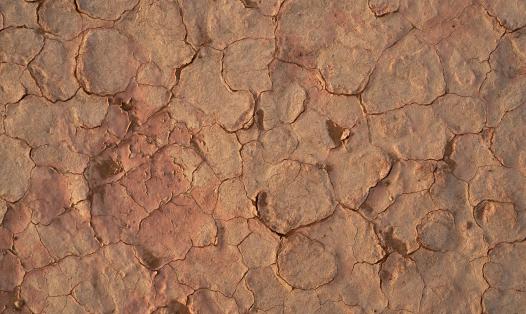 Photo by Wolfgang Hasselmann on Unspla