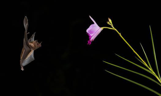 Photo by Zdeněk Macháček on Unsplash