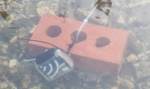 Image of a Hydromoth©