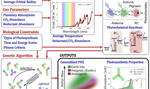 This is an image depicting the 'flow chart' of the project. Boxes of inputs (including astro parameters, geo parameters, biological constraints, genetic algorithm, planetary environment, and the photosynthesis model) are connected by arrows to a box of outputs (generalised photosynthetic habitable zone, photosynthetic properties).