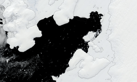 Ronne Entrance in the Bellingshausen Sea where sediment cores were collected in 2025. Surveys were completed days after a major iceberg calving event (imaged), yielding the first observations of an intact sub-ice shelf environment across ~350 km² of newly exposed seafloor.