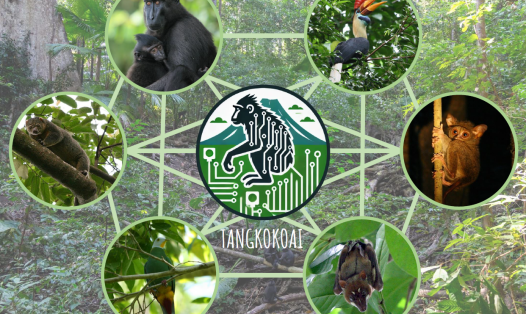 An illustration of the project representing the interconnection between the environment and the different species present in the Tangkoko Nature Reserve. 
