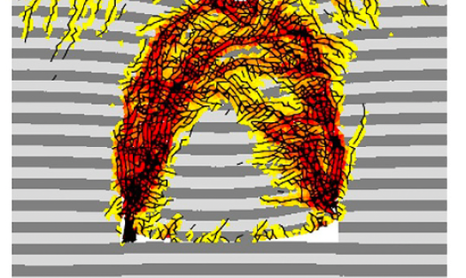 Computer simulations show how fractures (black lines) grow through the crust (light and dark grey layers) before caldera collapse. Pressure from a magma body (white) widens the crust along curved paths, highlighted by the shading from yellow to brown. The darker colours show greater widening and are the regions where fractures develop. When fractures near the magma body become large enough, they allow magma to escape upwards and to start a runaway process that leads to caldera collapse.